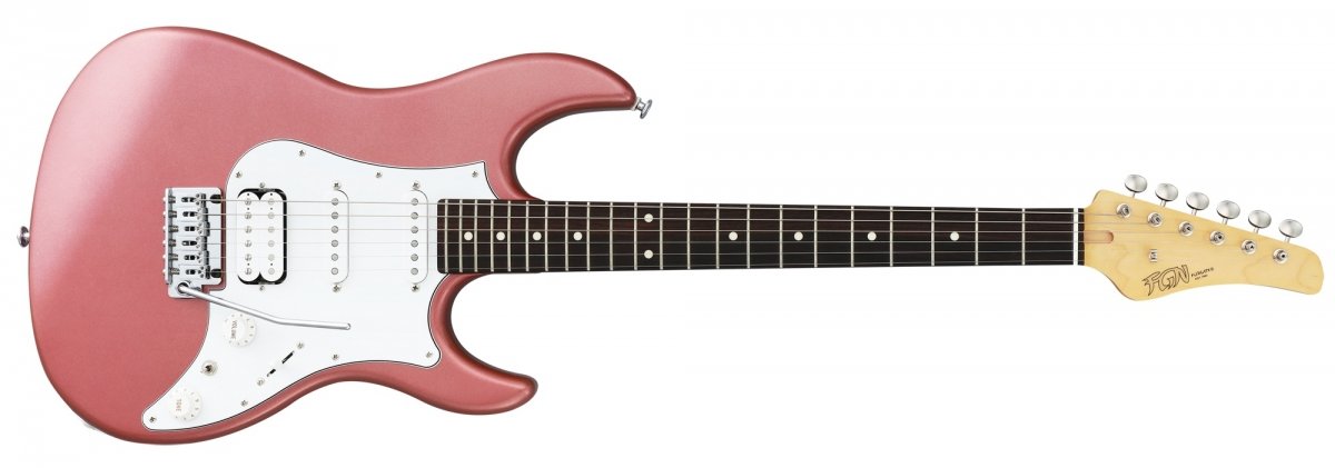 Zdjęcia - Gitara Odyssey FGN J-Standard  Traditional Burgundy Mist 