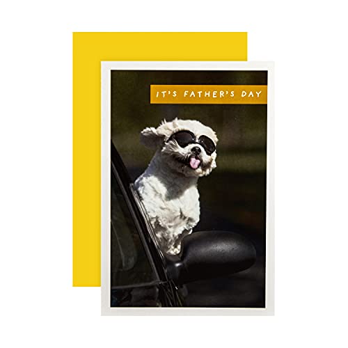 Karta na Dzień Ojca z The Hallmark Studio - Fotograficzny projekt humoru