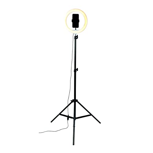 Intempo EE5976KBLKSTKEU7V2 Standing Selfie Light With Phone Holder, 3 Light Modes, 26 cm Ring Light, USB Powered, Foldable For Easy Storage, Adjustable Height Up To 2M, For Streaming/Vlogging