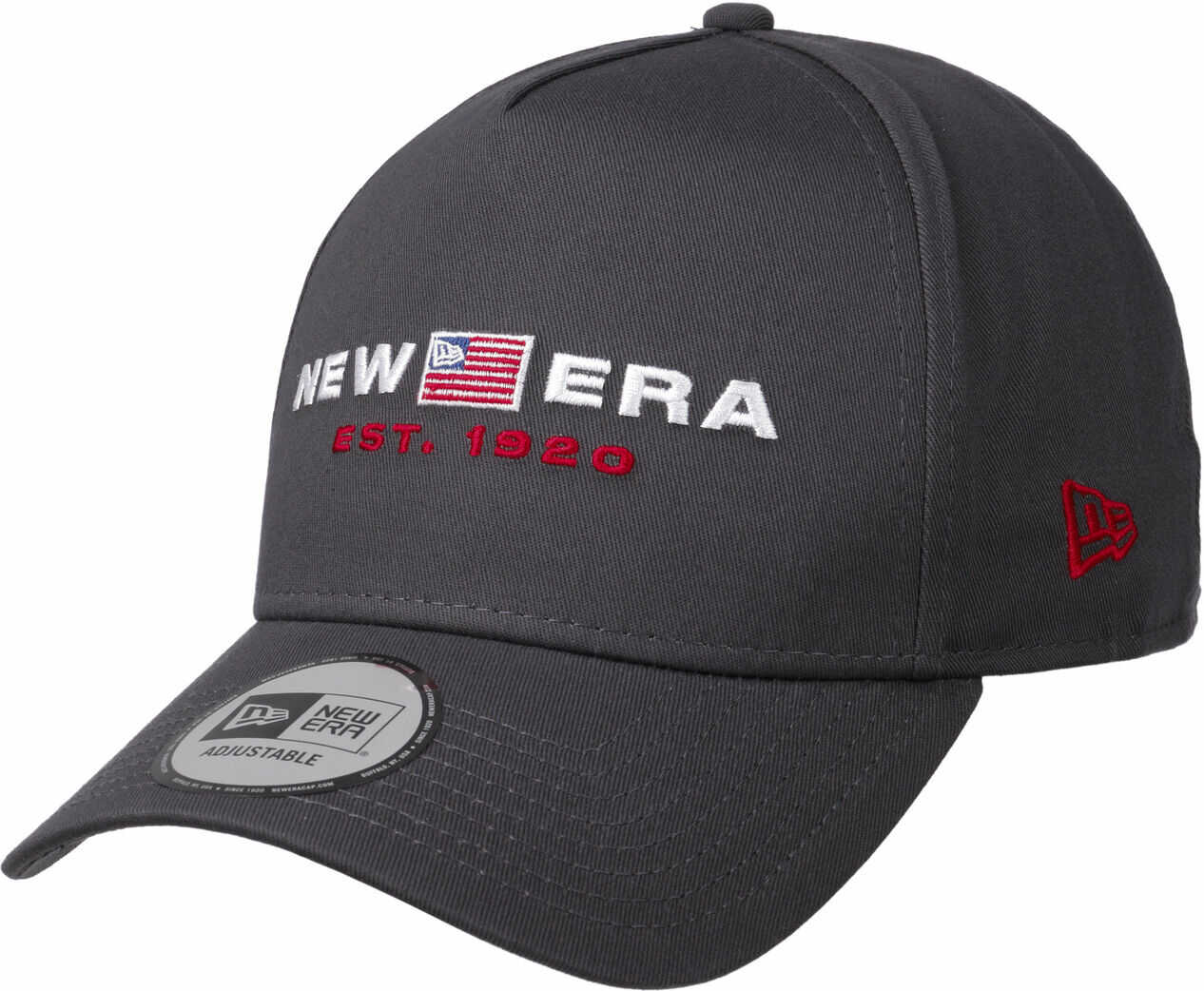 Team Flag Eframe Newera by New Era, ciemnoszary, One Size