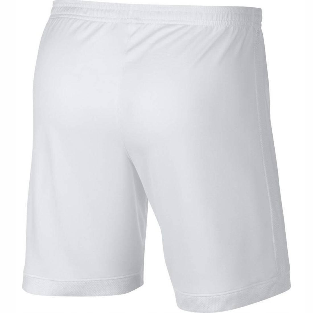 Nike Spodenki Academy AJ9994 101/white/white S