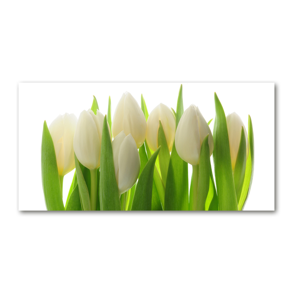 Foto obraz szkło hartowane Tulipany