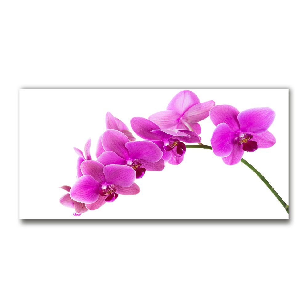 Fotoobraz na ścianę szklany Różowa orchidea