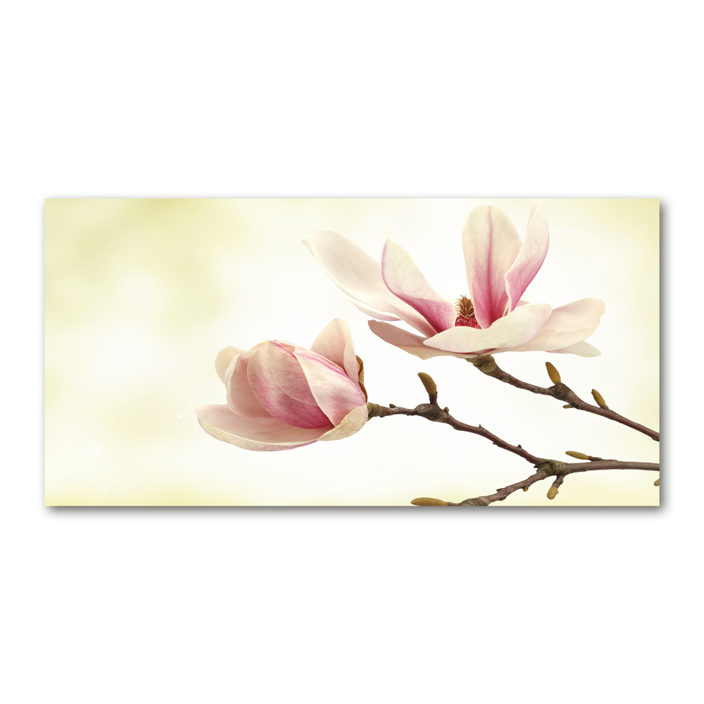 Foto obraz szkło hartowane Magnolia