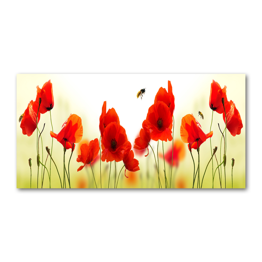 Foto obraz zdjęcie szkło hartowane Maki