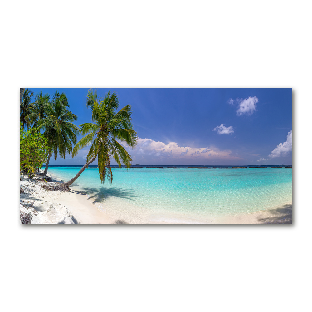 Foto obraz szkło hartowane Panorama plaży