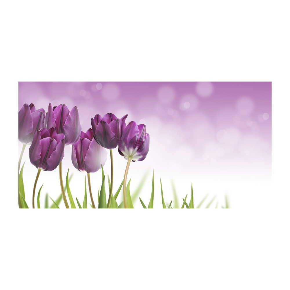 Foto obraz szklany Filetowe tulipany