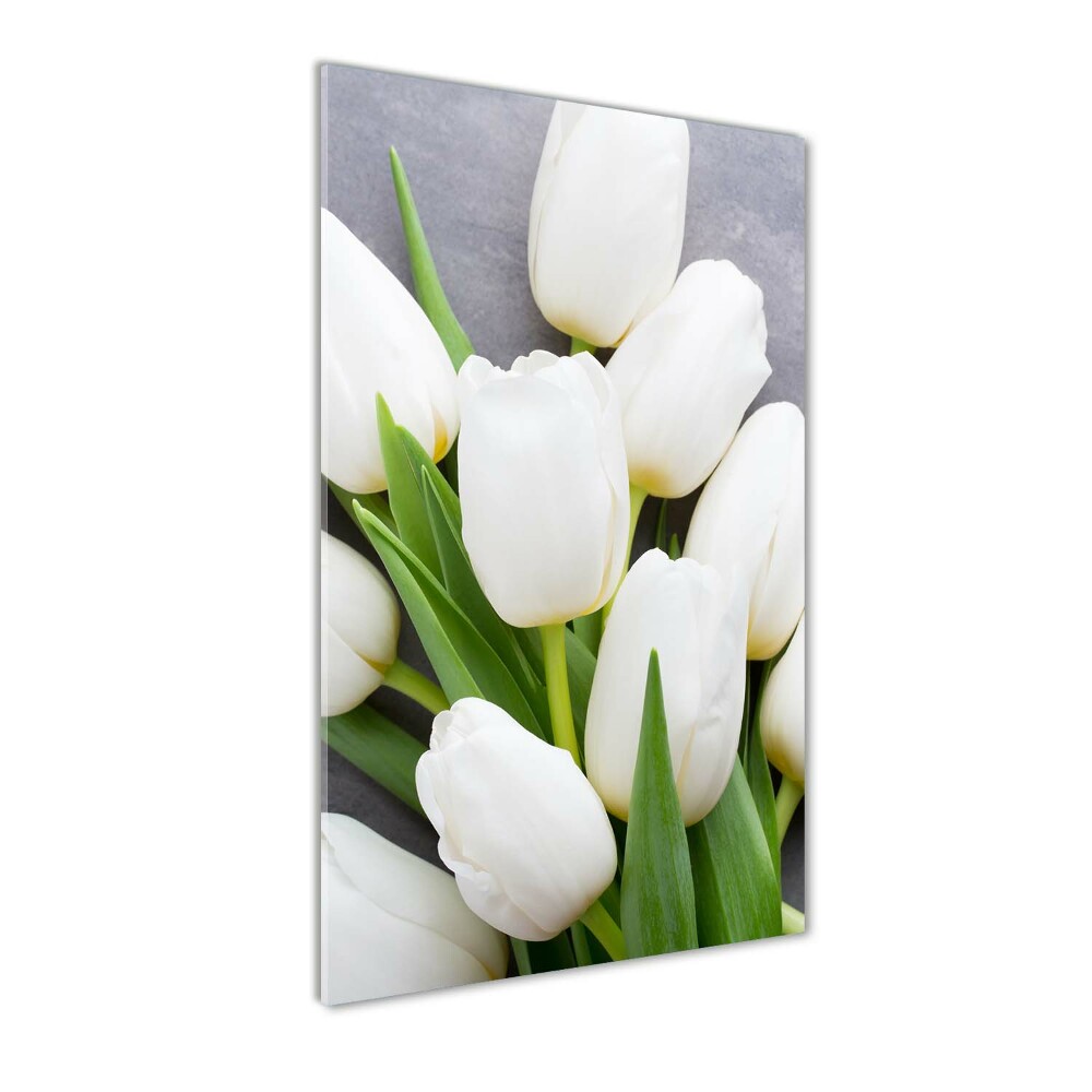 Foto obraz zdjęcie na szkle Białe tulipany