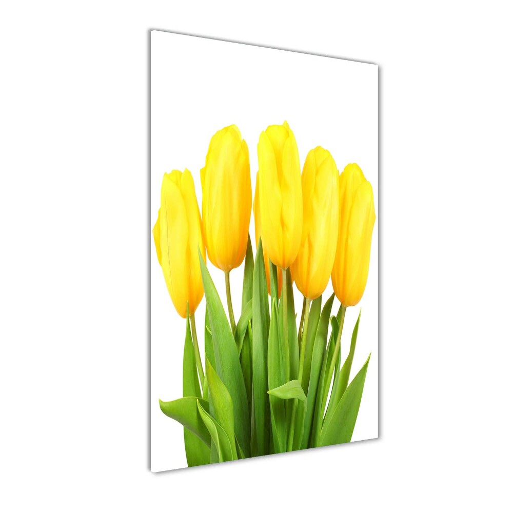 Foto obraz zdjęcie na szkle Żółte tulipany