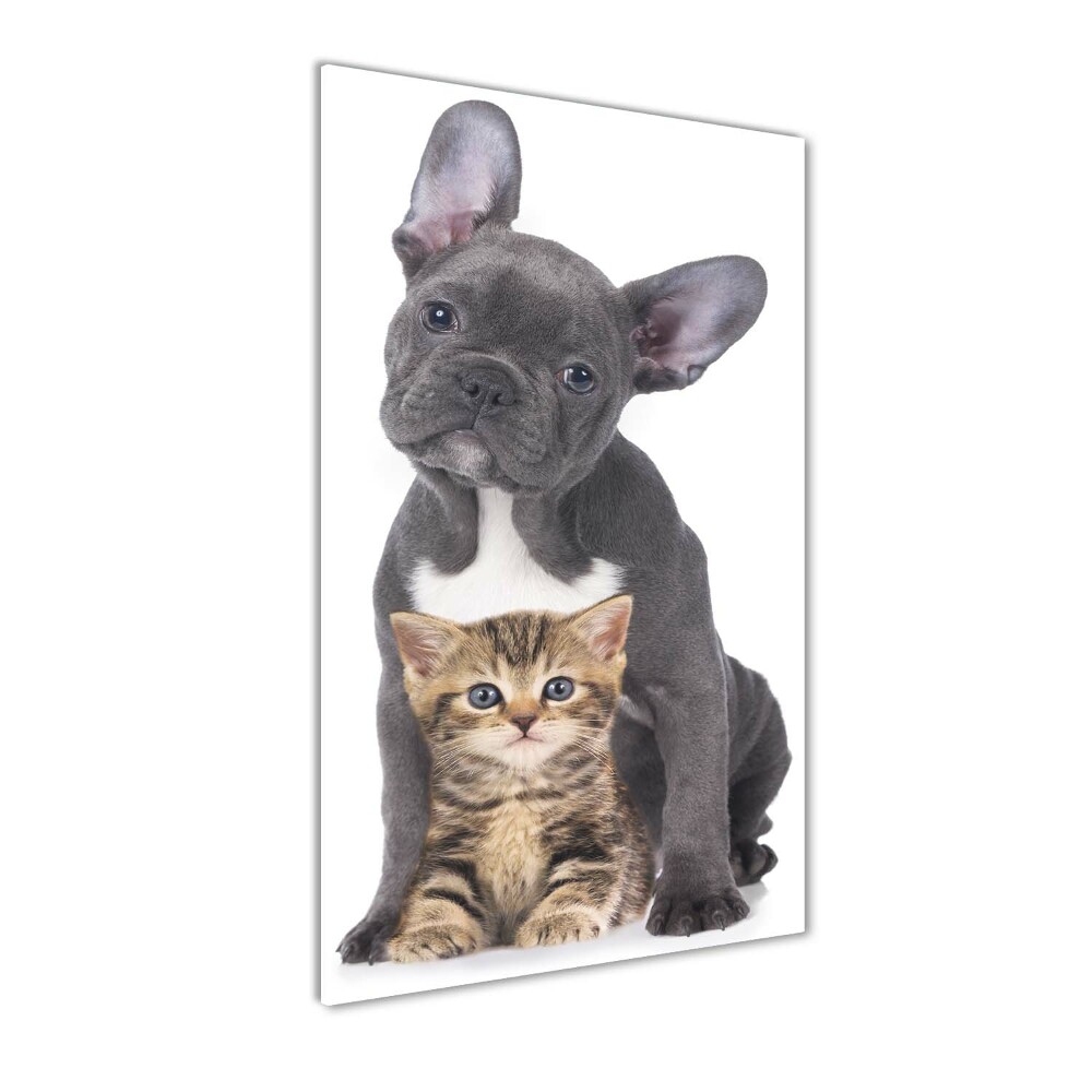 Foto obraz szkło hartowane Pies i kot