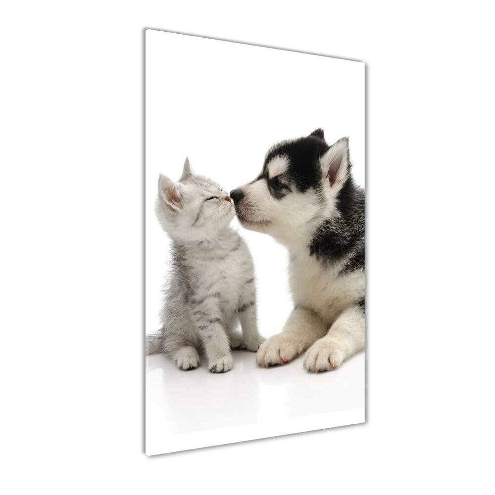Foto obraz szkło hartowane Pies i kot