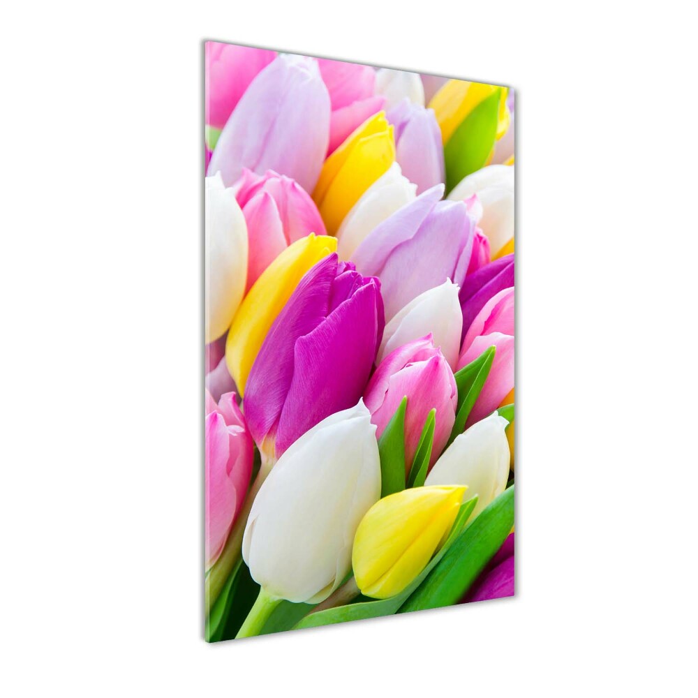 Foto obraz na szkle Kolorowe tulipany