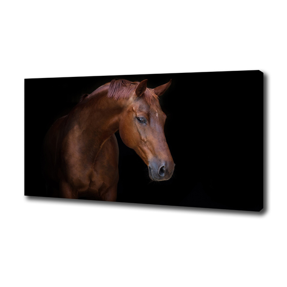 Foto obraz canvas Brązowy koń