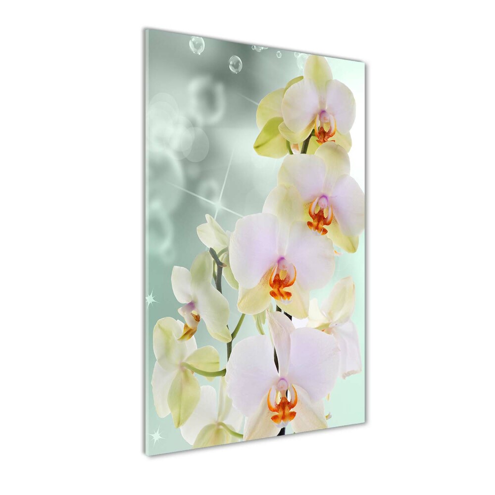 Foto-obraz szkło hartowane Orchidea