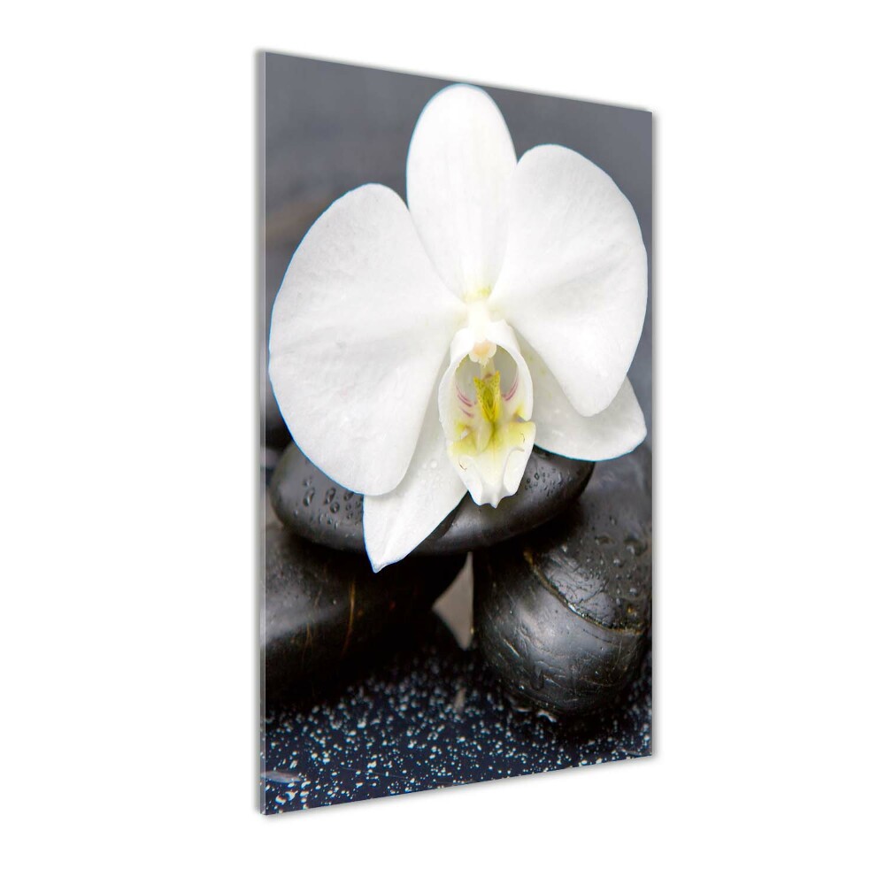 Obraz zdjęcie szkło akryl pionowy Orchidea i kamienie