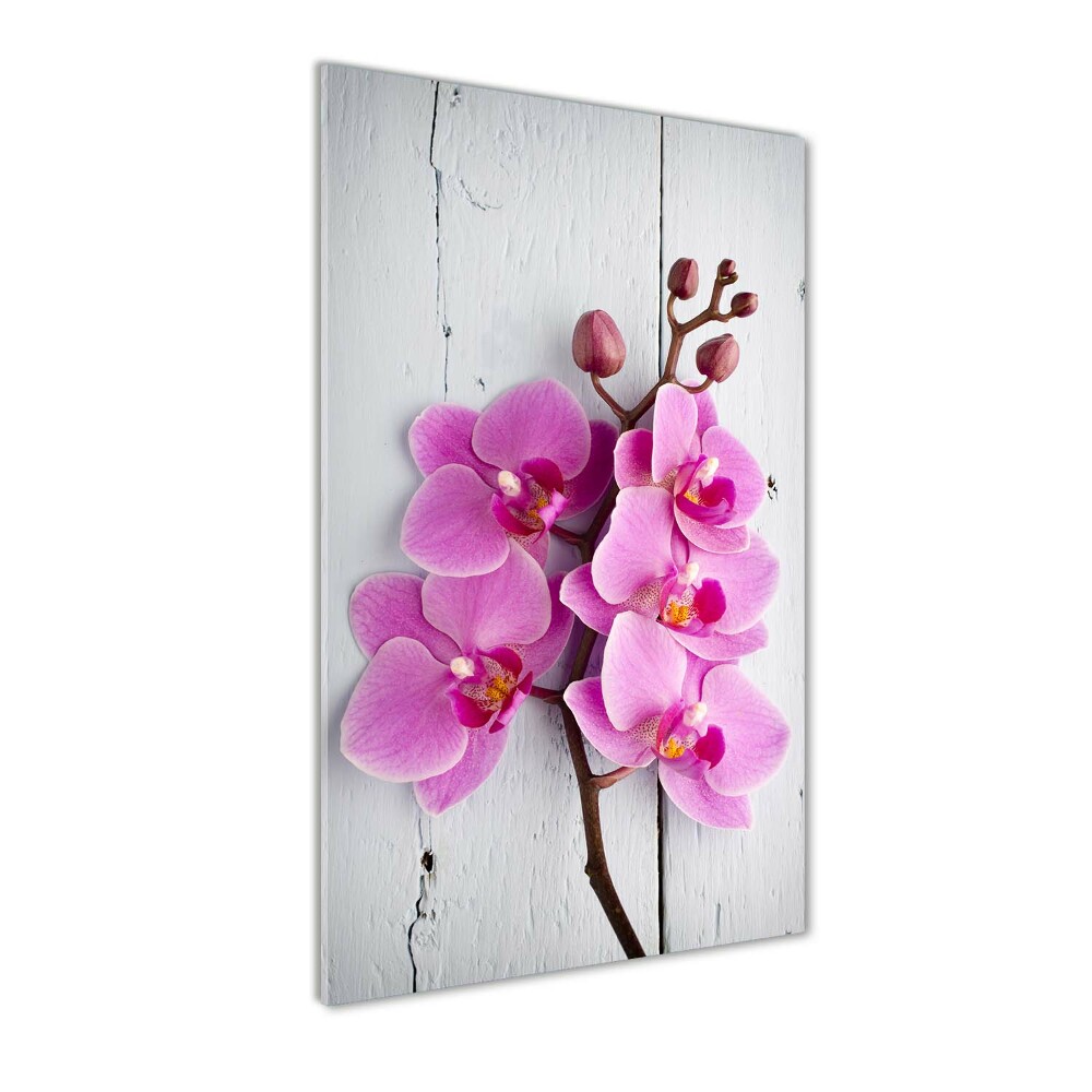 Obraz zdjęcie na ścianę akryl pionowy Różowa orchidea