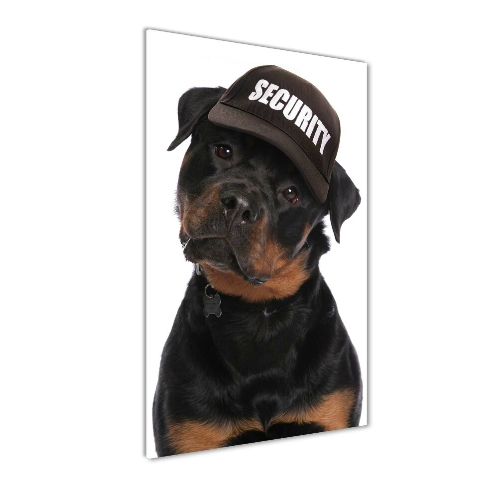 Foto obraz na szkle pionowy Rottweiler w czapce