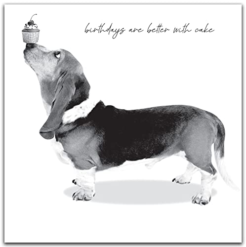 Zabawna kartka urodzinowa dla niego, kartka urodzinowa dla mężczyzny, zabawna, kartka urodzinowa dla niego, kartka urodzinowa dla niego zabawna, zabawna kartka urodzinowa dla mężczyzn