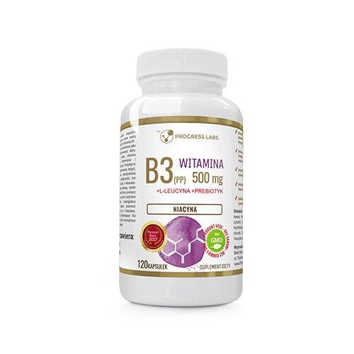 PROGRESS LABS Niacyna 500 mg Leucyna 120 caps