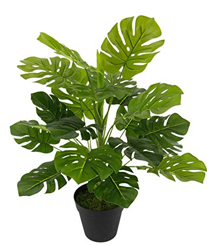 Sztuczna roślina Splitphilo w doniczce, monstera, sztuczna roślina w dotyku, zielona, sztuczna roślina, roślina ozdobna, duża, zielona, biurowa