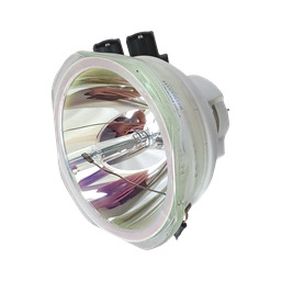 Lampa do PANASONIC PT-DW830EWJ (portrait) - zamiennik oryginalnej lampy bez modułu