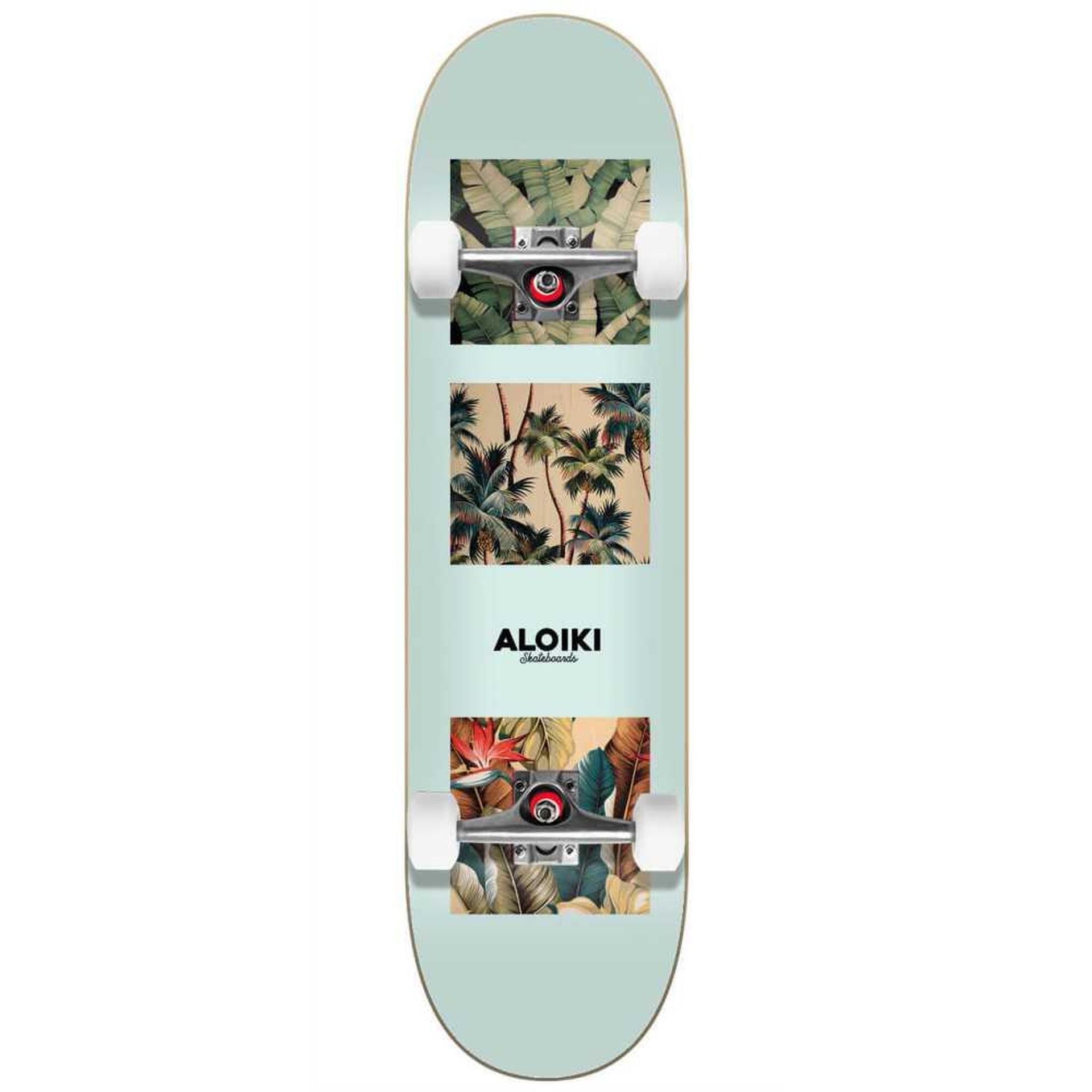 ALOIKI complet skateboard ZICATELA COMPLETE