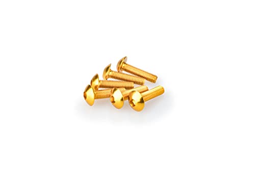Puig 0550 G blister pękaty, 6 śrub, M5, 20 mm, złoty