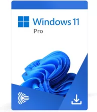 Microsoft Windows 11 Professional 32/64 BiT