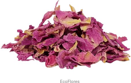 Piwonia suszone płatki