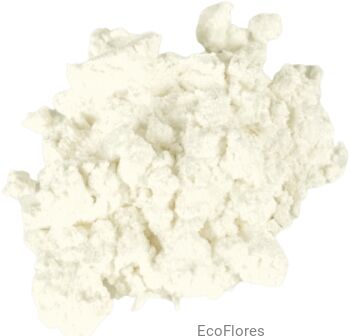 Mika perłowa Biała Perła II