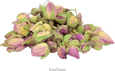 Róża pąk suszony różowy