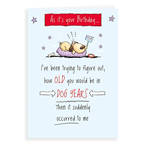 Humor zabawna kartka urodzinowa stara w latach psa - 18 x 12,7 cm - Regal Publishing