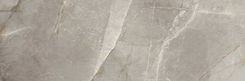 Bianca VENIS RETT. 25x75