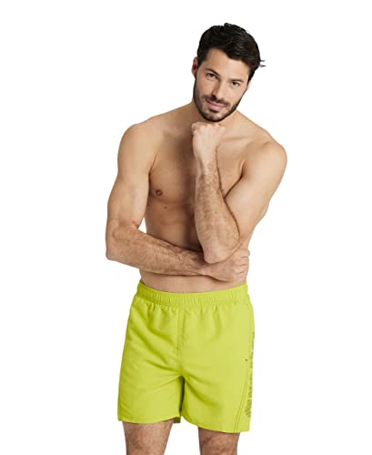 ARENA Fundamentals Logo Boxer, szorty plażowe męskie