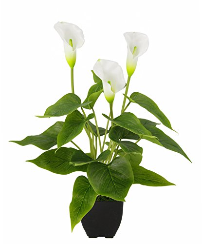 Sztuczna roślina Calla w doniczce, sztuczne kwiaty, jedwabne kwiaty, tworzywo sztuczne, nieprawdziwe w dotyku, roślina pokojowa, zielona, doniczkowa, bukiety, lilia, dekoracja nagrobna