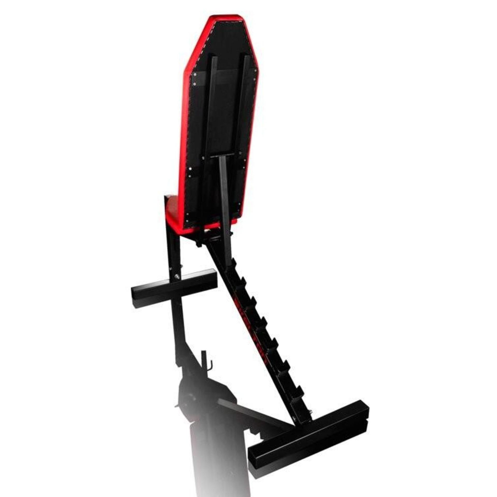 Kelton Tryton Hl1 -