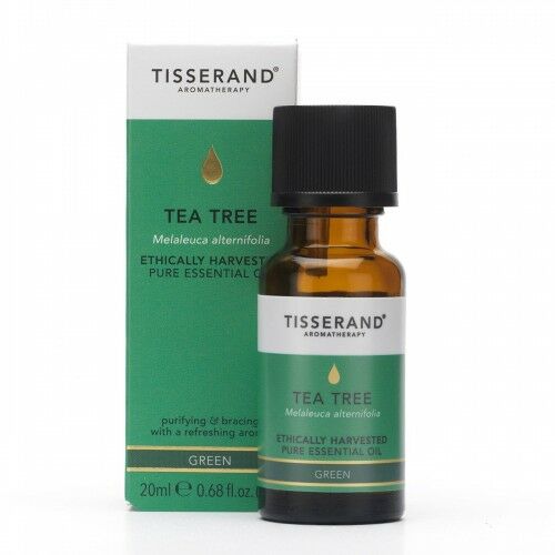 Tea Tree Ethically Harvested Drzewo Herbaciane 20 ml Tisserand Aromatherapy 1036544821
