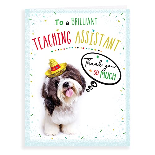 Fotograficzna karta z podziękowaniami asystent nauczycielski - 20 x 15 cm - Regal Publishing