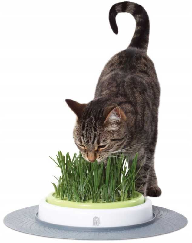 CATIT - Zestaw trawa ogrodowa Catit Senses 5,5x37x37cm