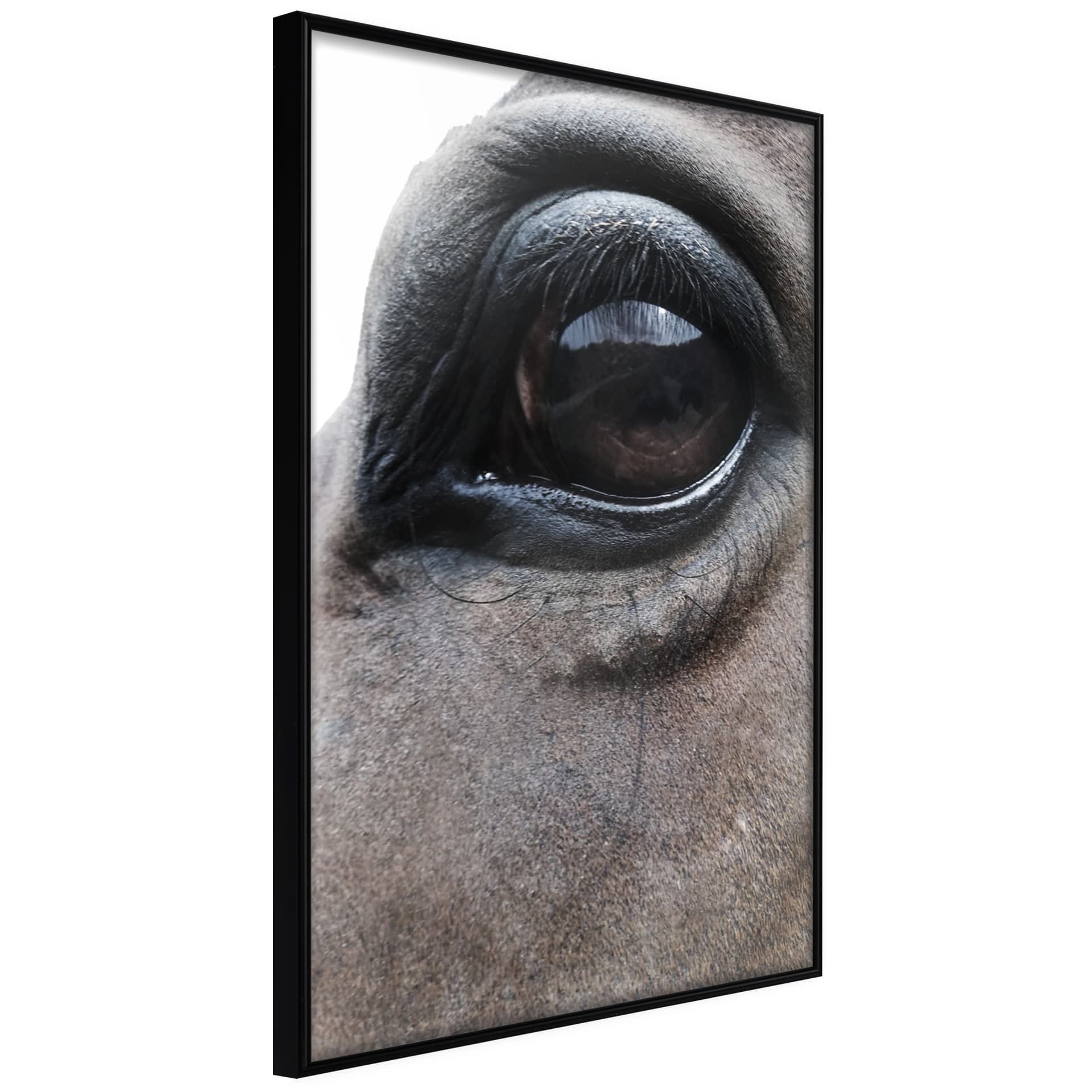 Plakat - Łagodne oczy (rozmiar 40x60, wykończenie Rama złota z passe-partout)