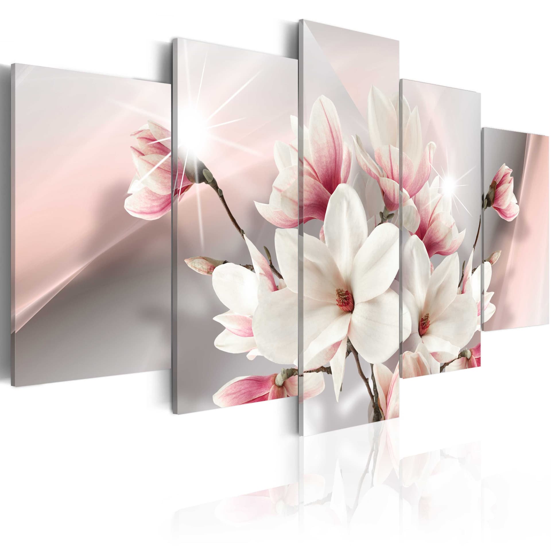 Obraz - Magnolia w rozkwicie (rozmiar 100x50)