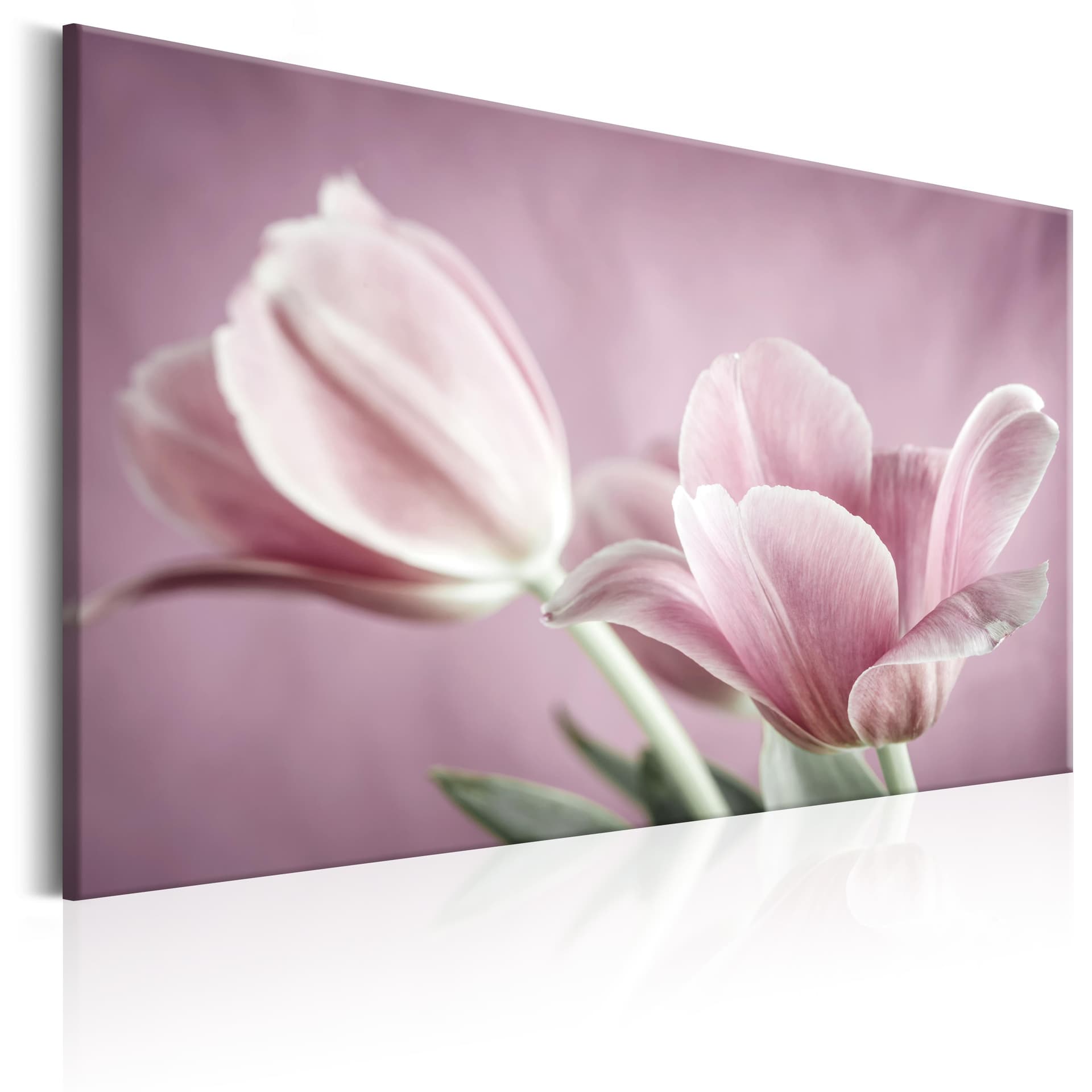 Obraz - Romantyczne tulipany (rozmiar 120x80)