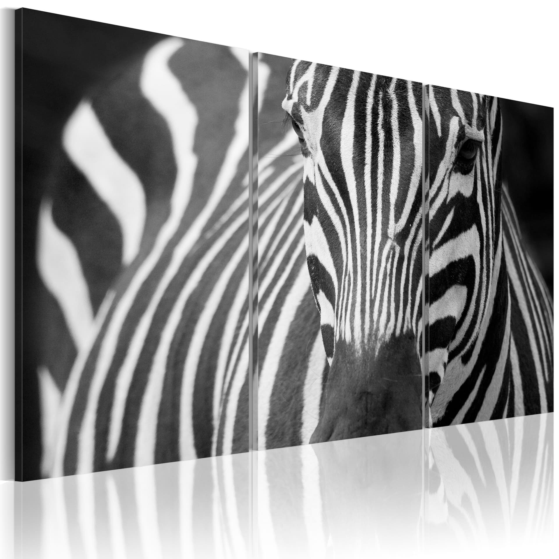 Obraz - Pani Zebra (rozmiar 120x80)