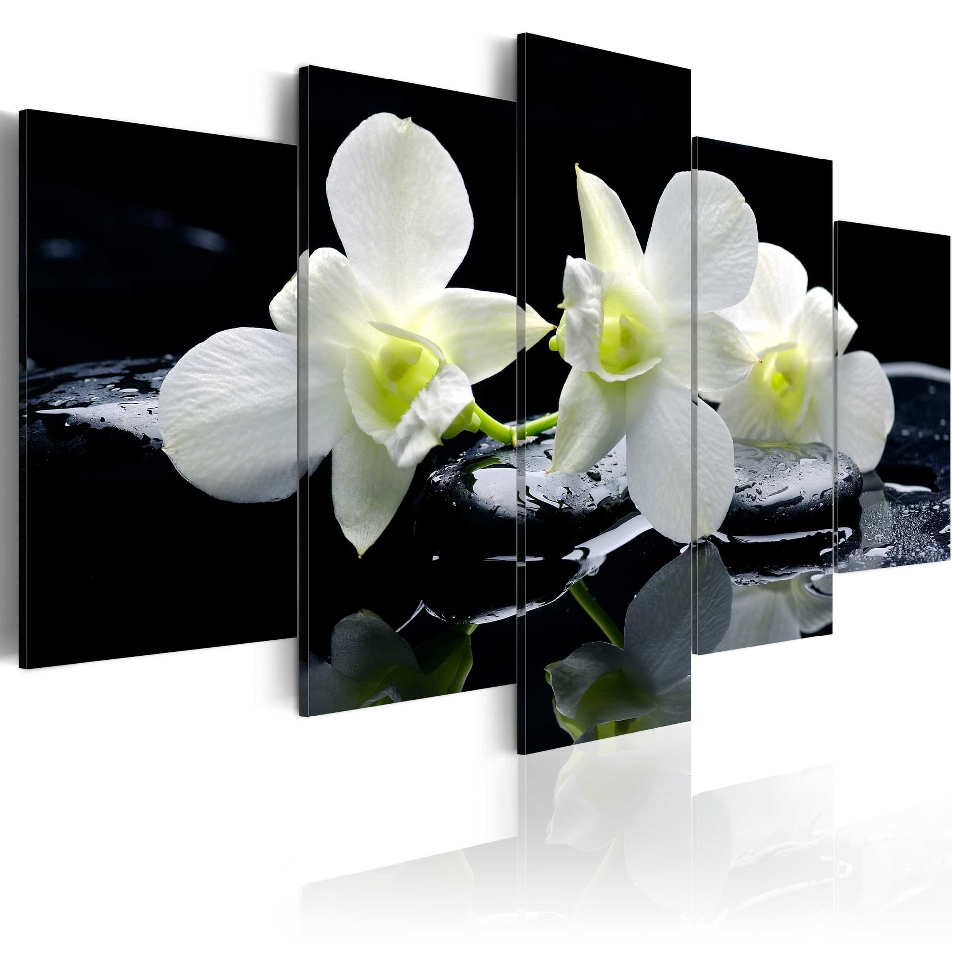 Obraz - Melancholijne orchidee (rozmiar 100x50)