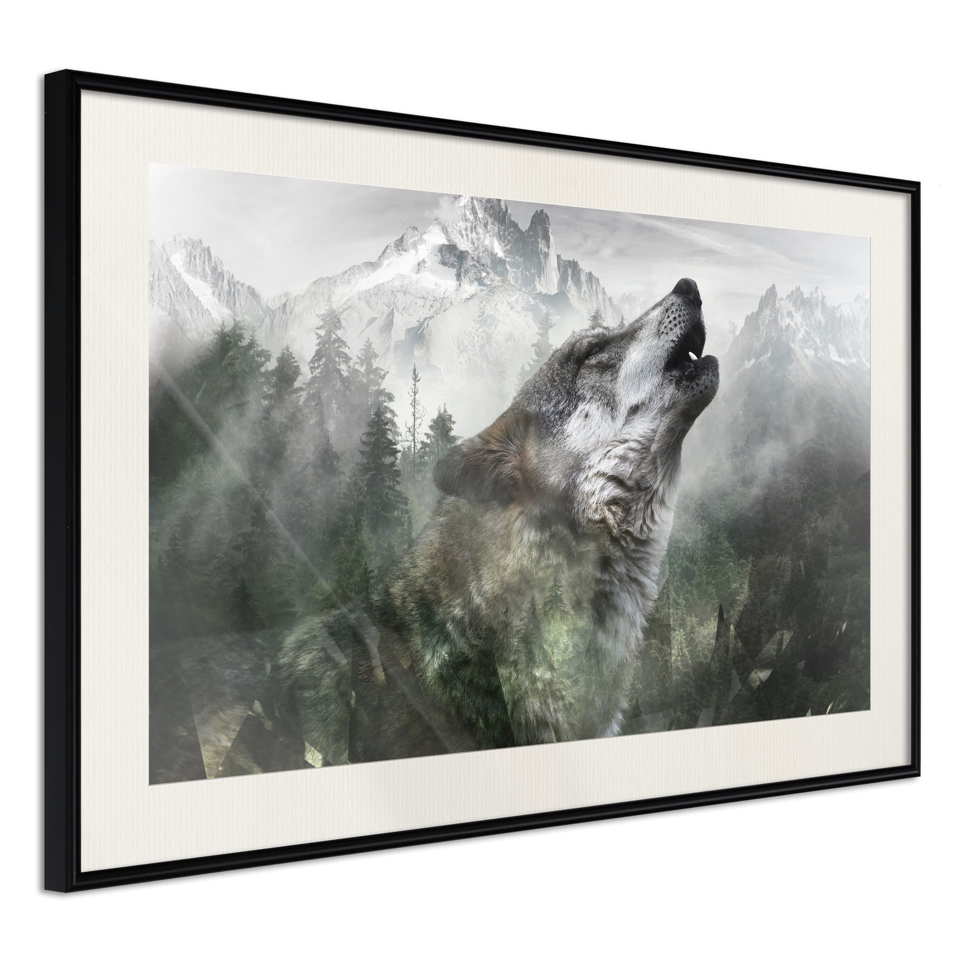 Plakat - Wilcze terytorium (rozmiar 90x60, wykończenie Rama złota z passe-partout)