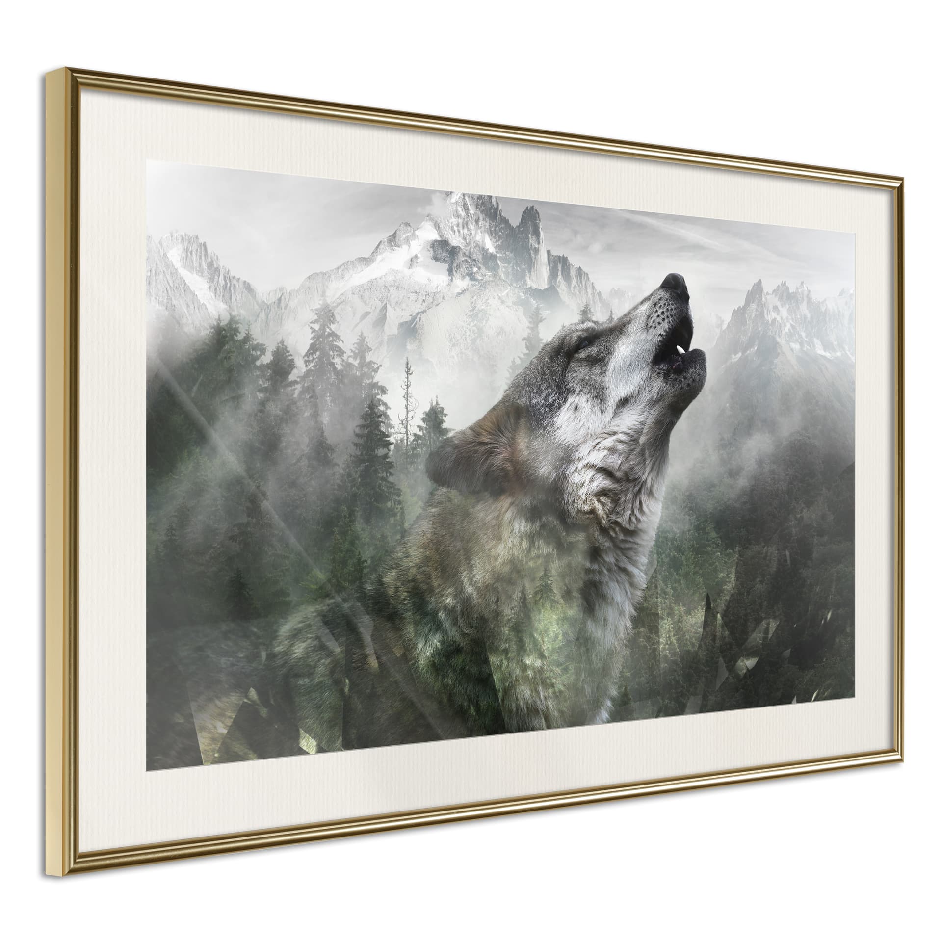 Plakat - Wilcze terytorium (rozmiar 90x60, wykończenie Rama złota z passe-partout)