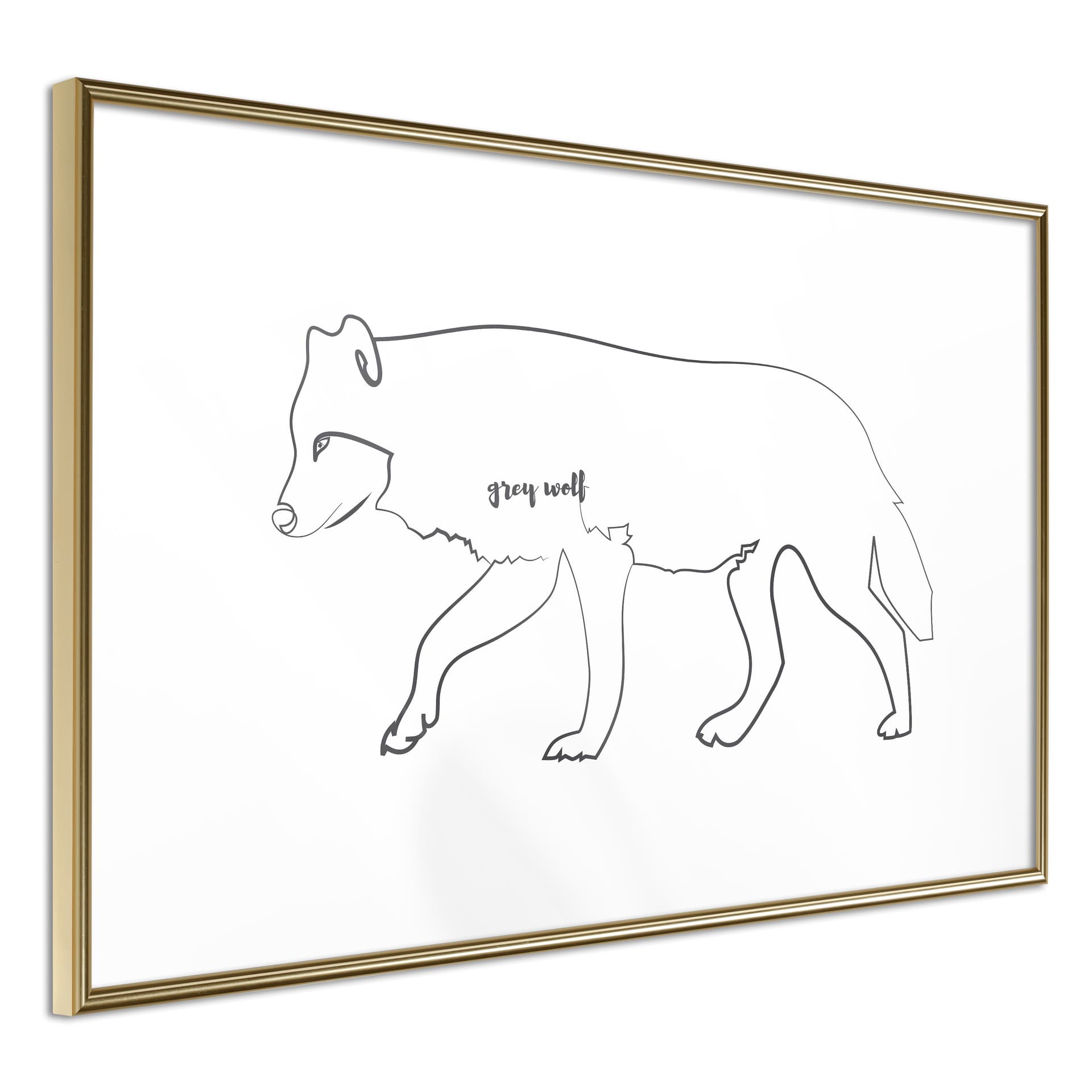 Plakat - Wilk szary (rozmiar 90x60, wykończenie Rama złota z passe-partout)
