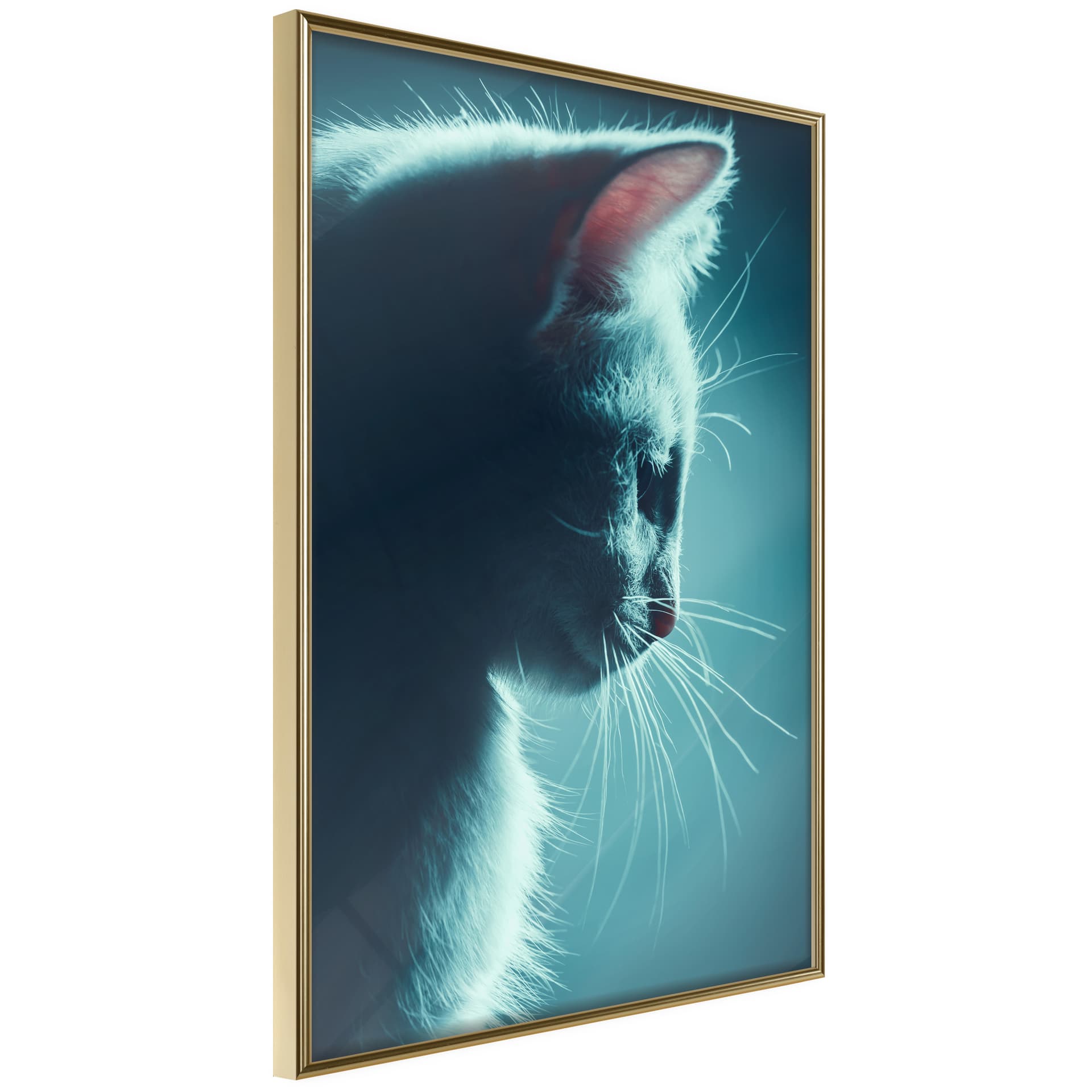 Plakat - Rozkoszny futrzak (rozmiar 40x60, wykończenie Rama złota z passe-partout)