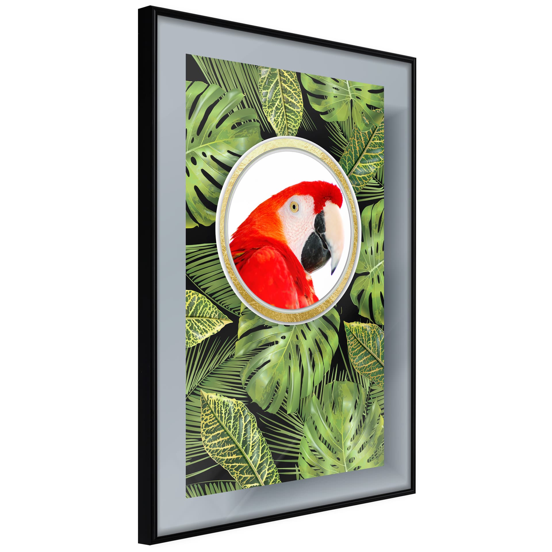 Plakat - Papuga pozdrawia (rozmiar 40x60, wykończenie Rama złota z passe-partout)