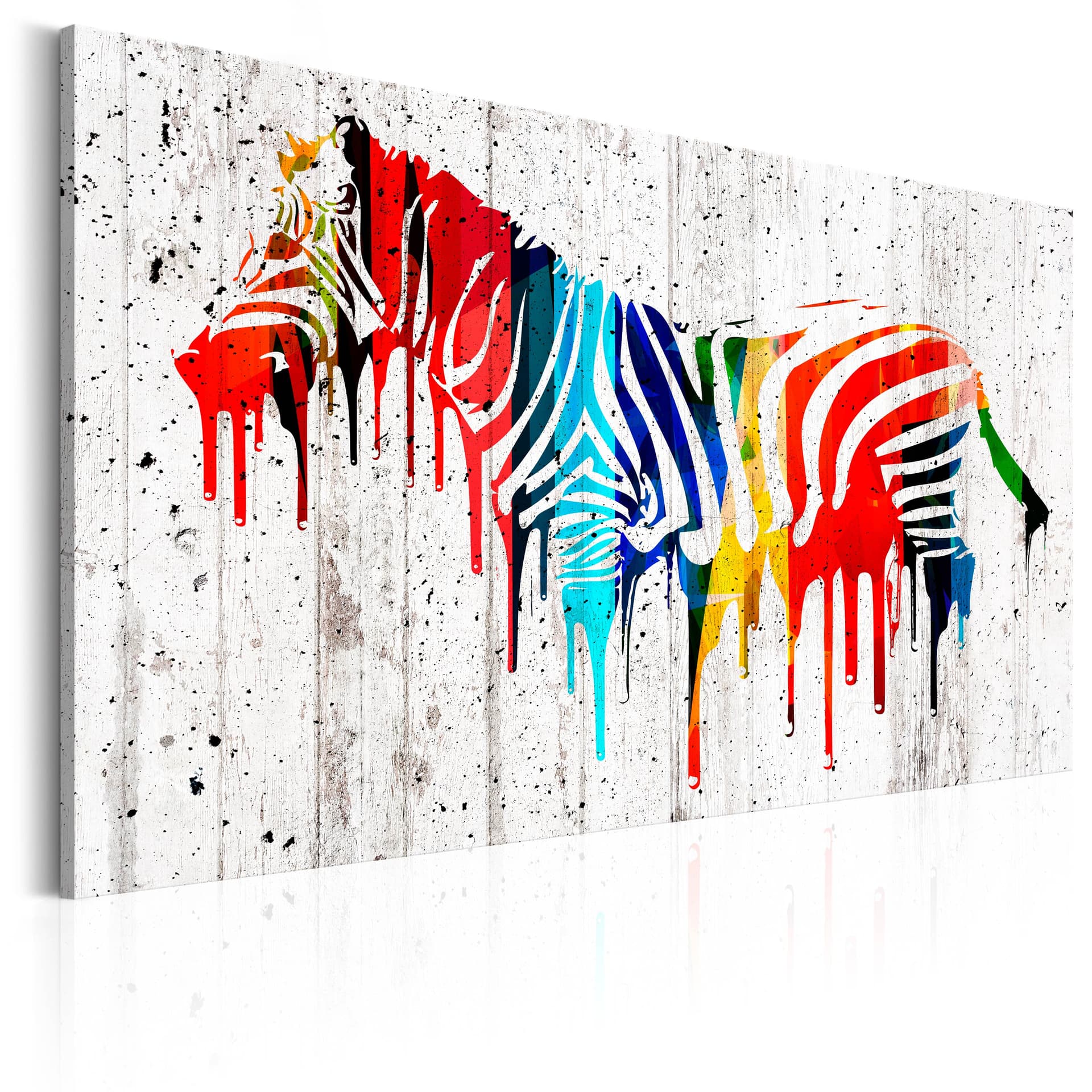 Obraz - Kolorowa zebra (rozmiar 120x80)